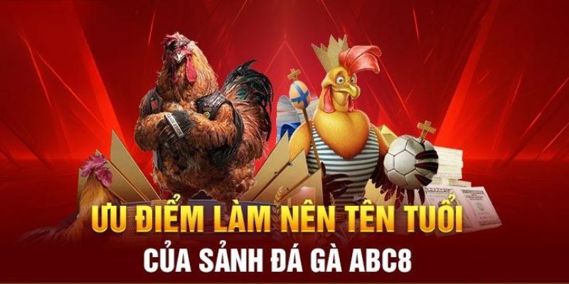 Vài điều khiến bạn lựa chọn đá gà ABC8